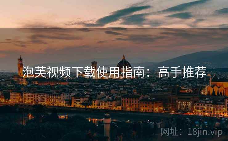泡芙视频下载使用指南：高手推荐