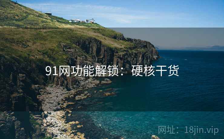91网功能解锁：硬核干货