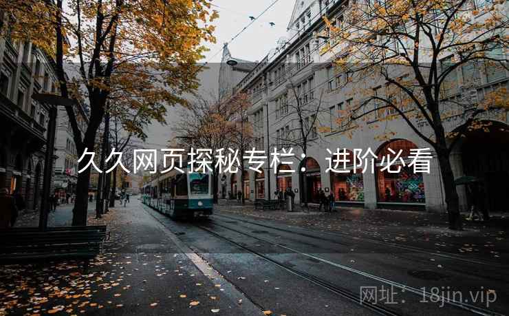 久久网页探秘专栏：进阶必看