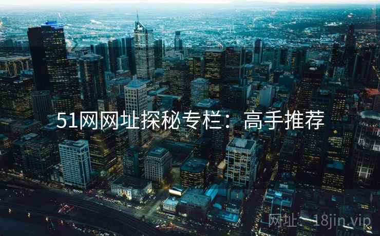 51网网址探秘专栏：高手推荐