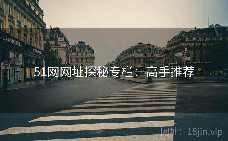 51网网址探秘专栏：高手推荐