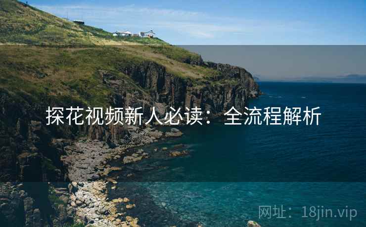 探花视频新人必读：全流程解析