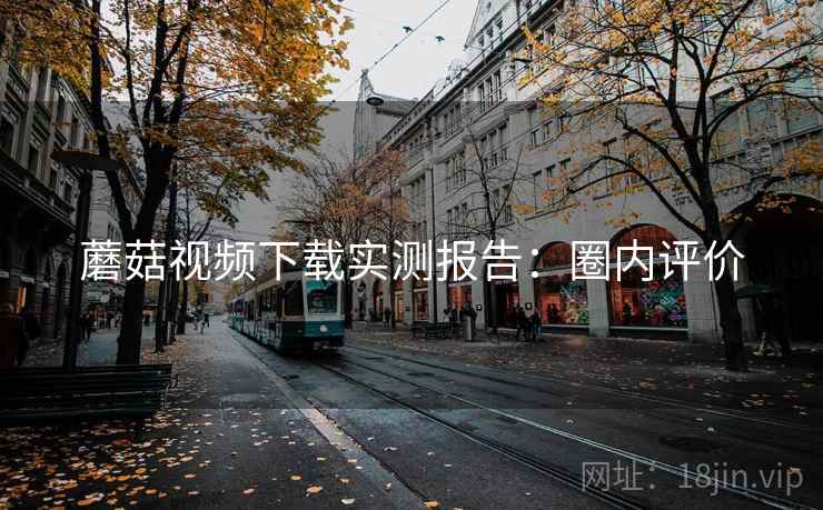 蘑菇视频下载实测报告：圈内评价