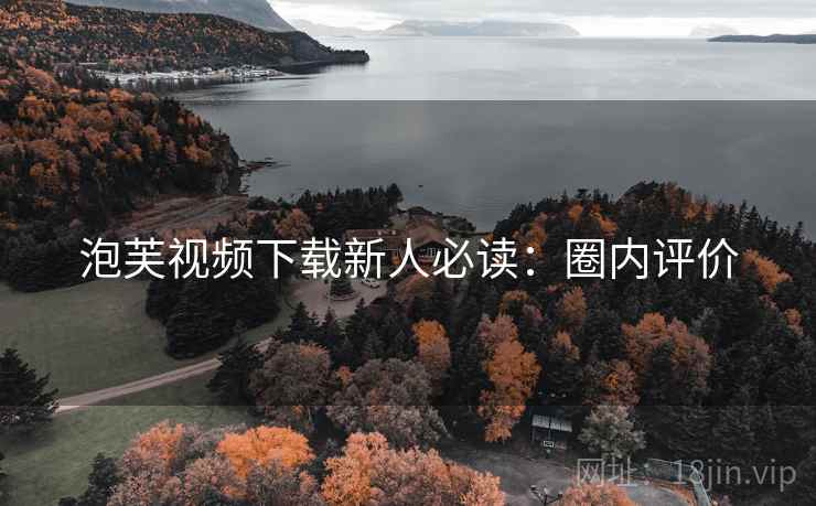 泡芙视频下载新人必读：圈内评价