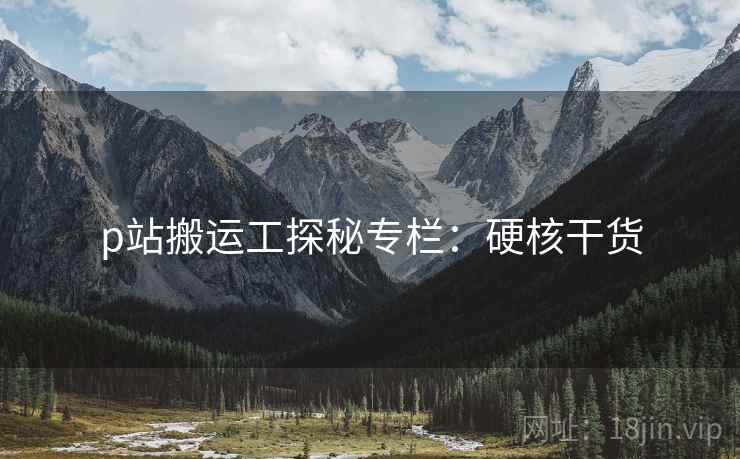 p站搬运工探秘专栏：硬核干货