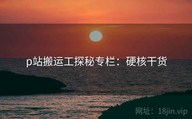 p站搬运工探秘专栏：硬核干货