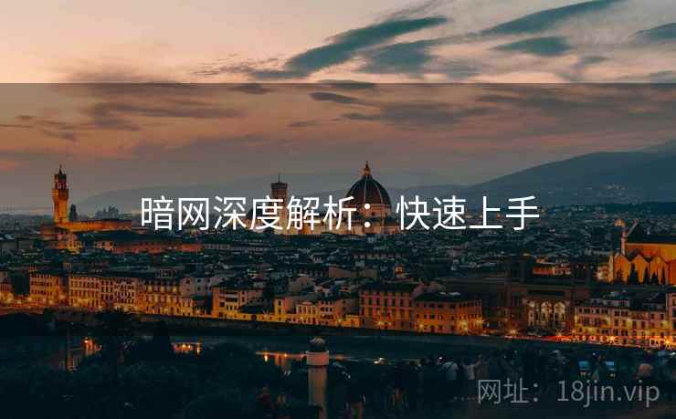 暗网深度解析：快速上手
