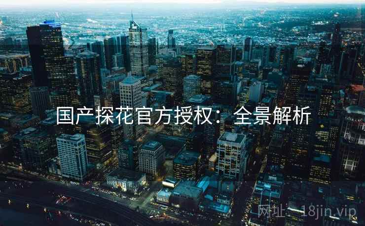 国产探花官方授权：全景解析