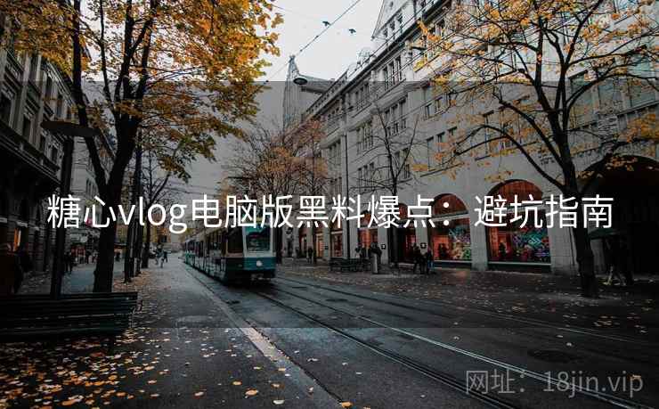 糖心vlog电脑版黑料爆点：避坑指南