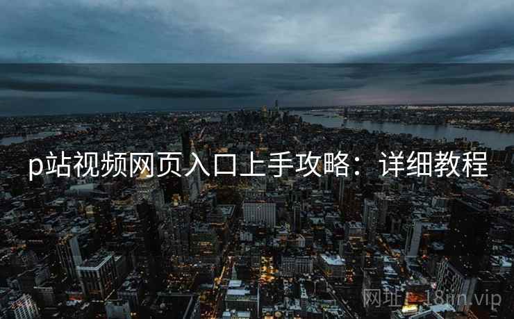 p站视频网页入口上手攻略：详细教程